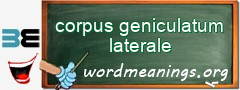 WordMeaning blackboard for corpus geniculatum laterale